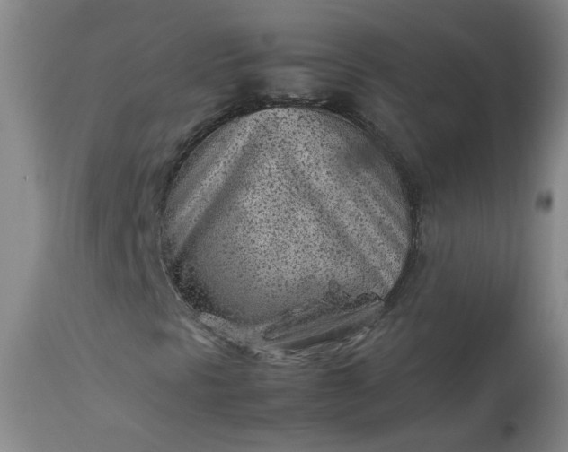 X0000112511297200908311323