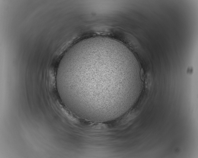 X0000112511298200908311323