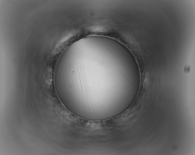 X0000112511301200908311323