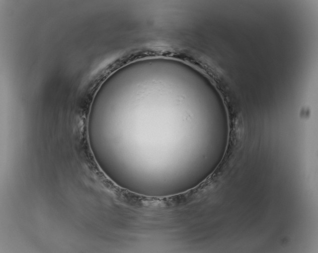 X0000112511302200908311323