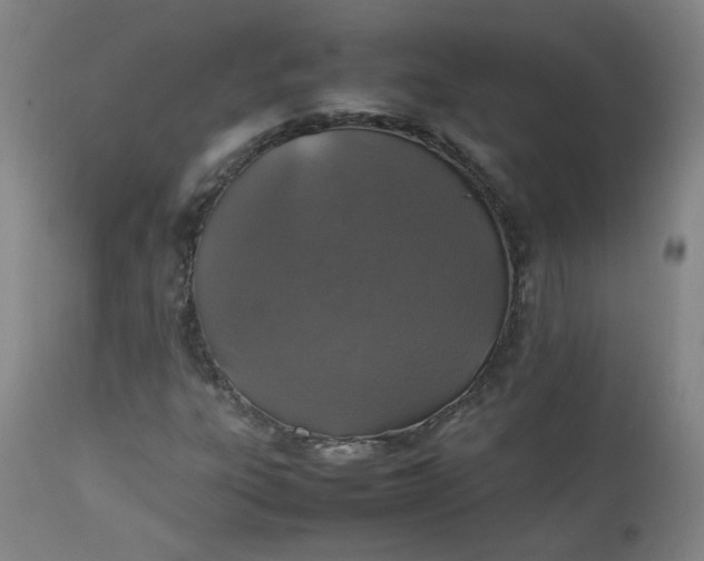 X0000112511303200908311323