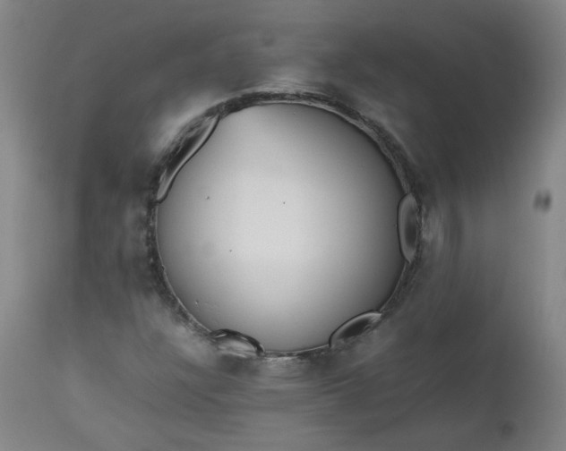 X0000112511304200908311323