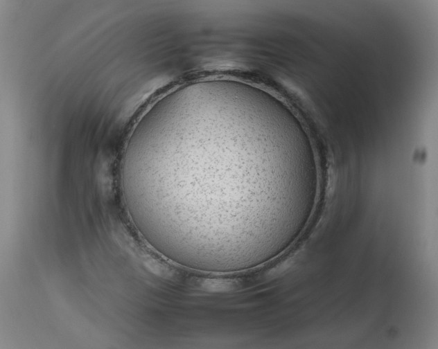 X0000112511305200908311323