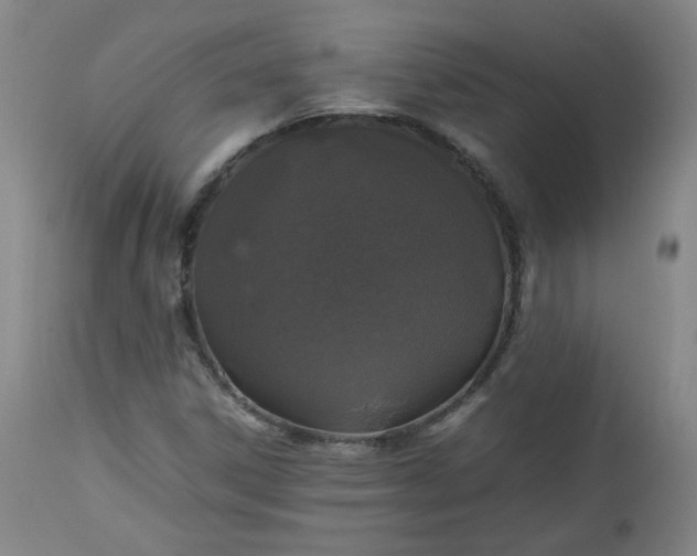 X0000112511306200908311323