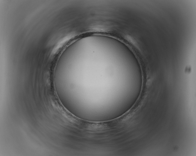 X0000112511307200908311323