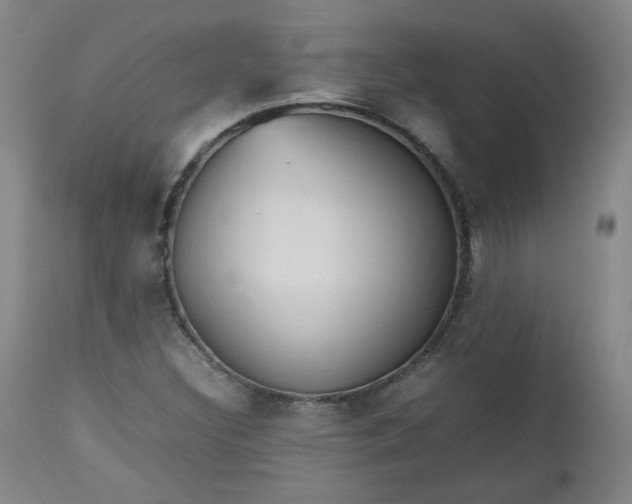 X0000112511308200908311323