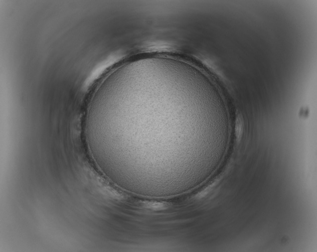 X0000112511309200908311323