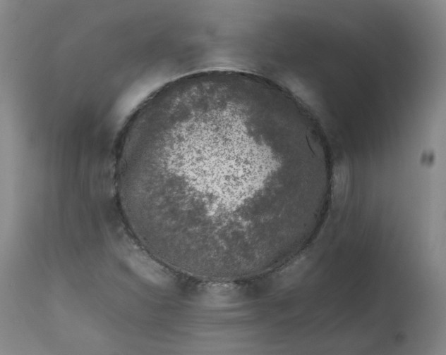 X0000112511310200908311323