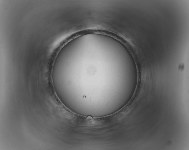 X0000112511311200908311323