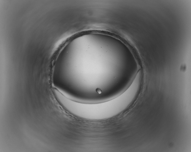 X0000112511312200908311323