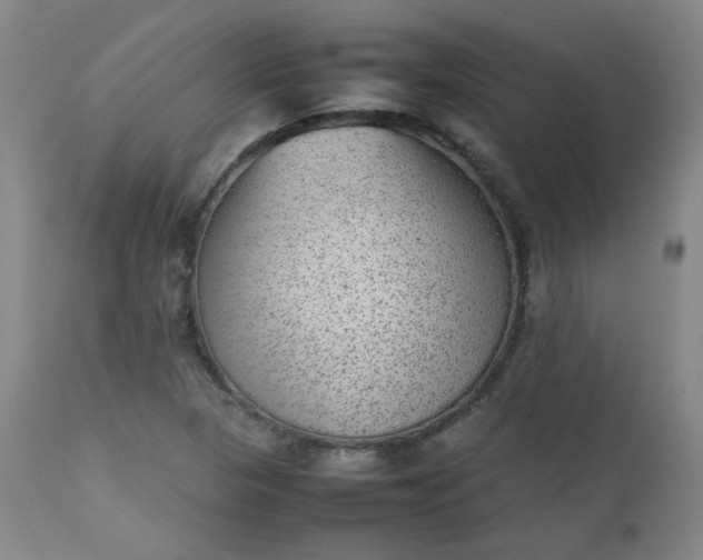 X0000112511313200908311323