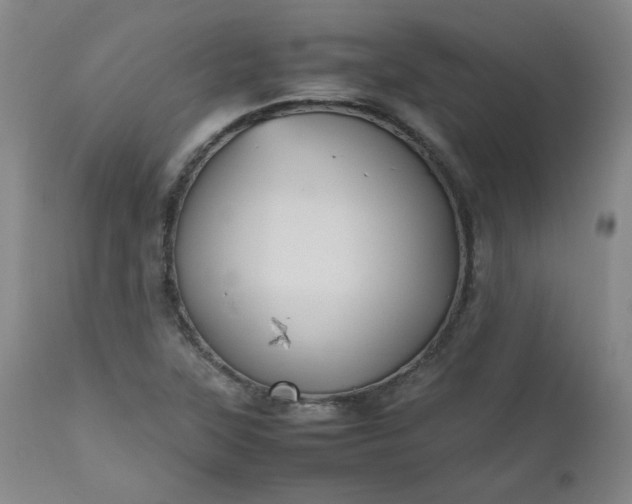 X0000112511315200908311323