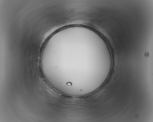 X0000112511316200908311323