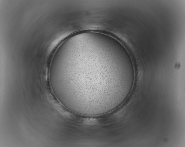 X0000112511317200908311323