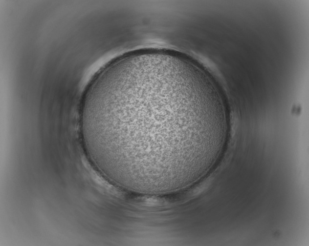 X0000112511318200908311323