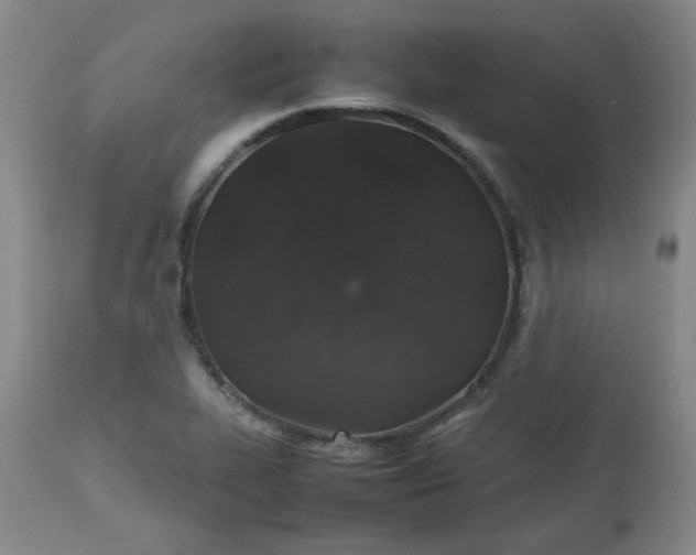 X0000112511319200908311323