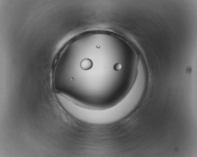 X0000112511320200908311323