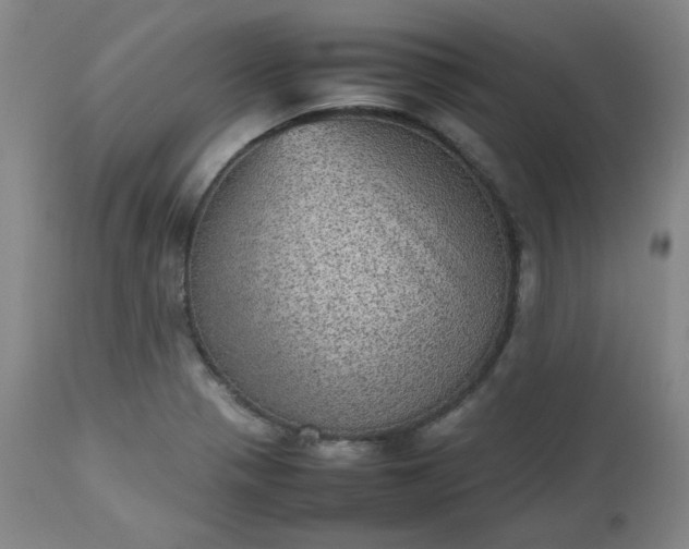 X0000112511321200908311323