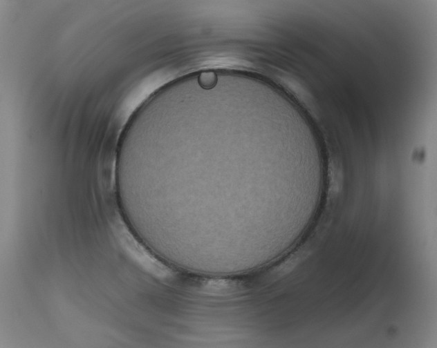 X0000112511322200908311323