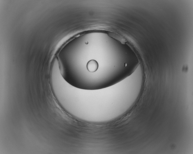 X0000112511324200908311323