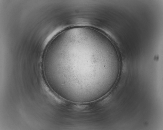 X0000112511325200908311323