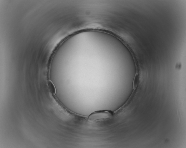 X0000112511326200908311323