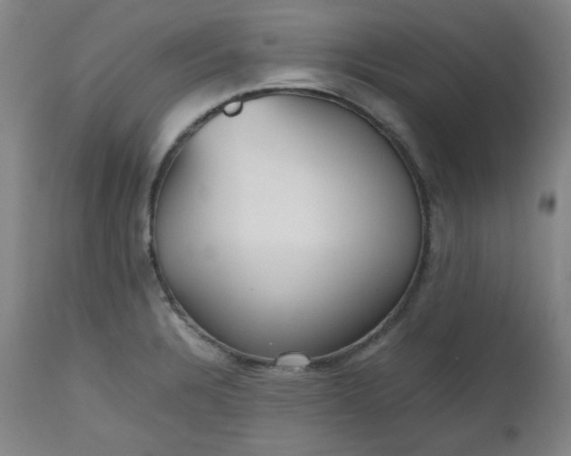 X0000112511328200908311323