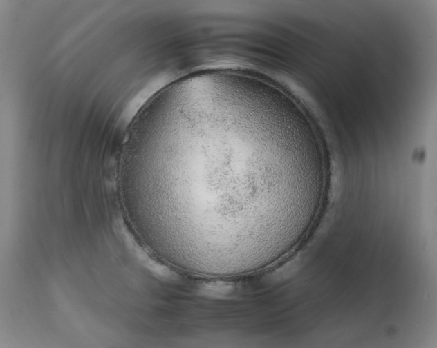 X0000112511329200908311323