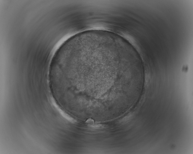 X0000112511331200908311323