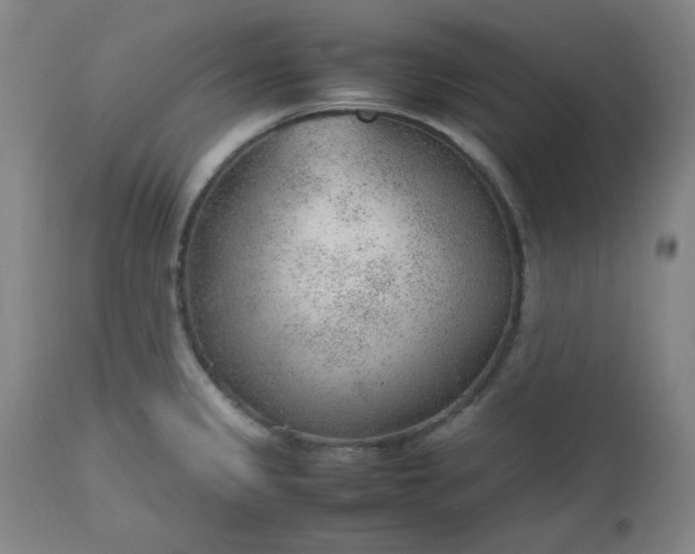 X0000112511333200908311323