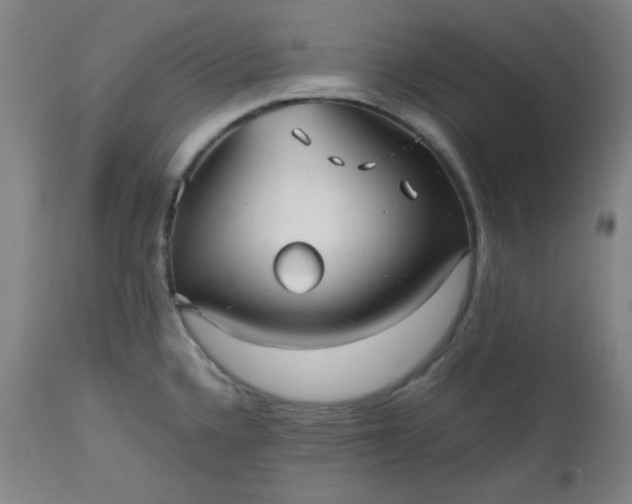 X0000112511336200908311323