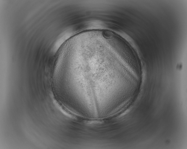 X0000112511337200908311323