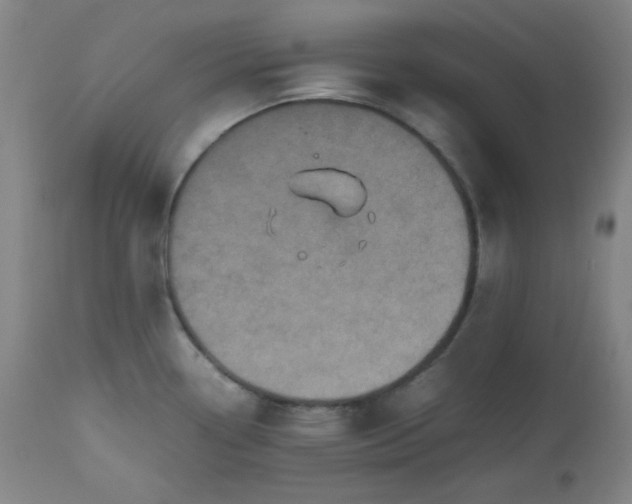 X0000112511338200908311323