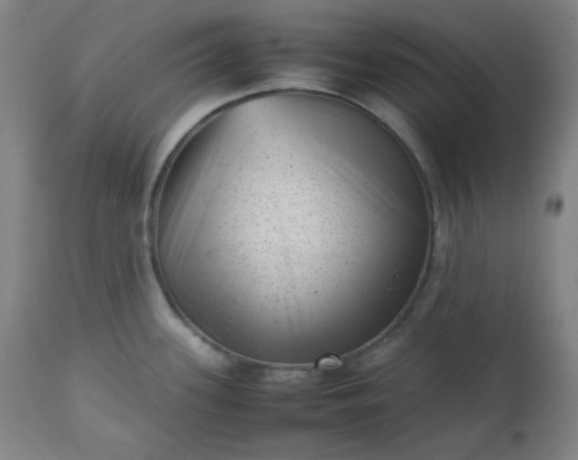 X0000112511339200908311323