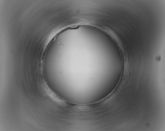 X0000112511340200908311323