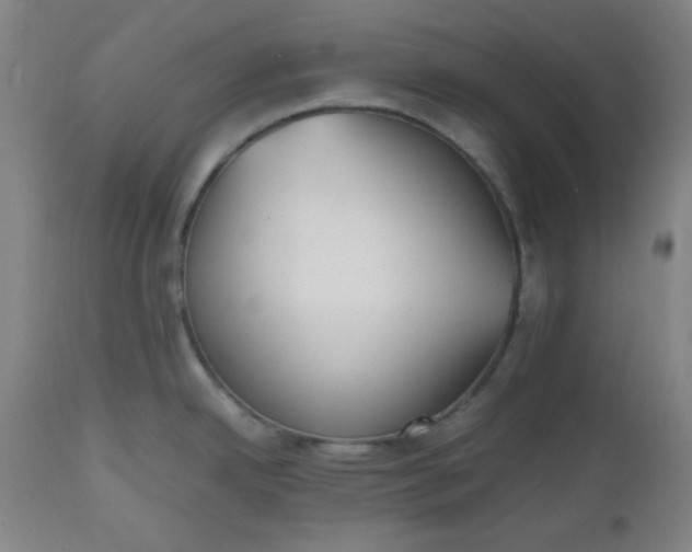 X0000112511342200908311323