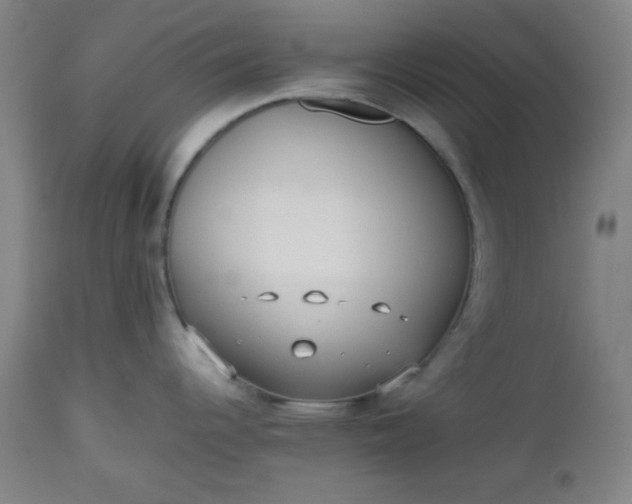 X0000112511344200908311323