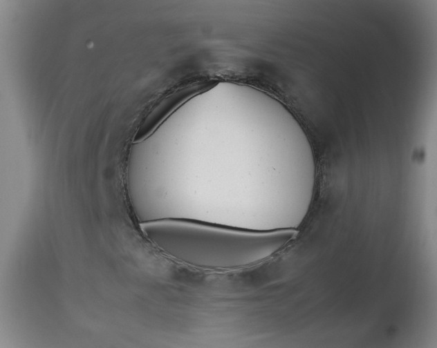 X0000112511345200908311323