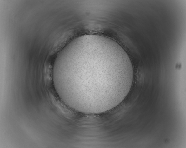 X0000112511346200908311323