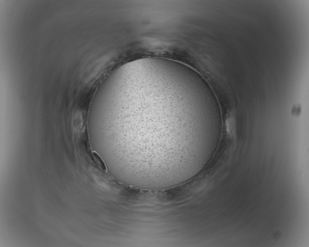 X0000112511347200908311323