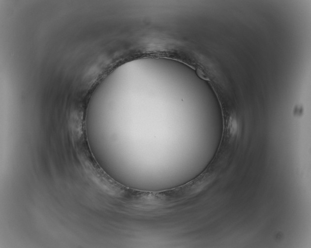 X0000112511348200908311323