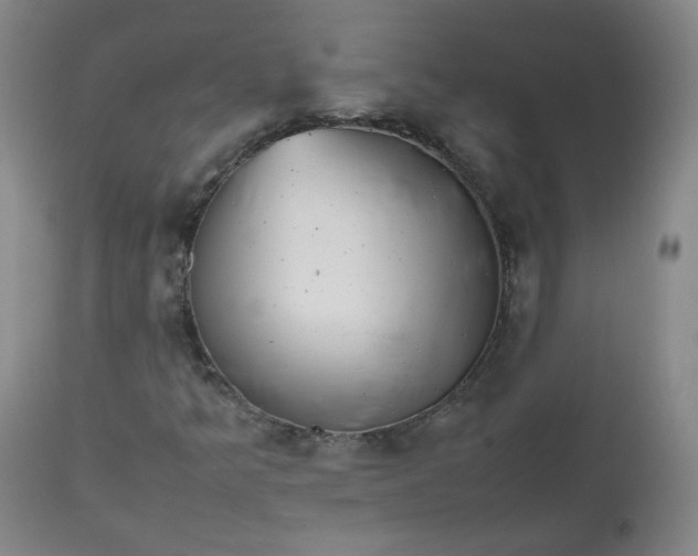 X0000112511349200908311323