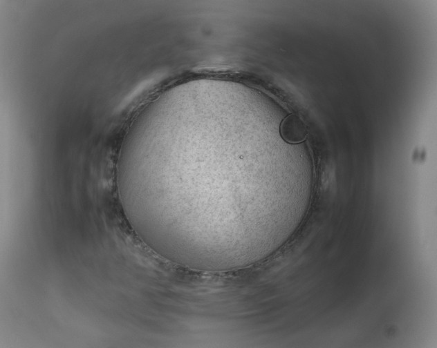 X0000112511350200908311323