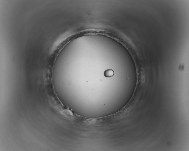 X0000112511352200908311322