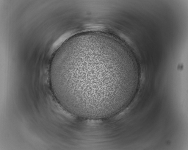 X0000112511354200908311322