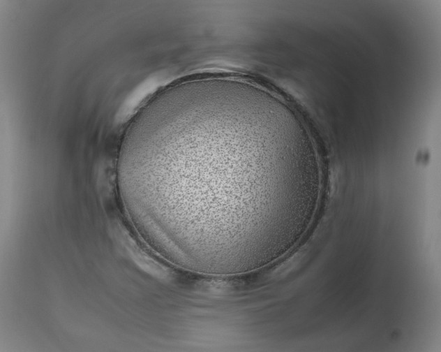 X0000112511355200908311322