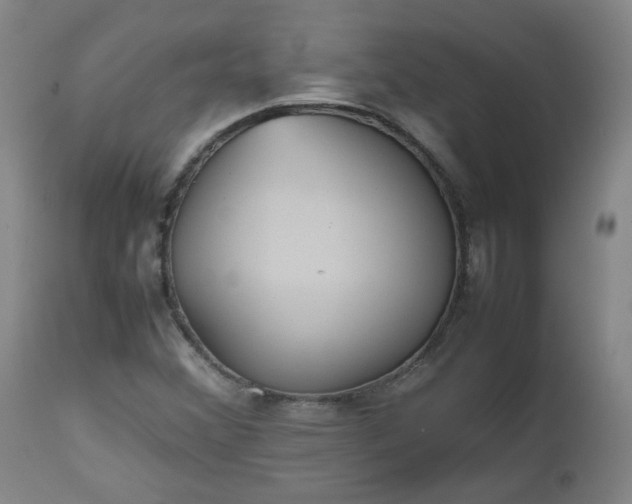 X0000112511356200908311322