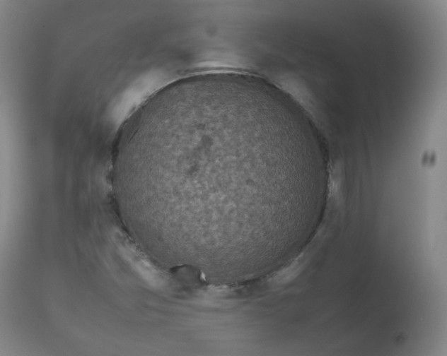 X0000112511357200908311322