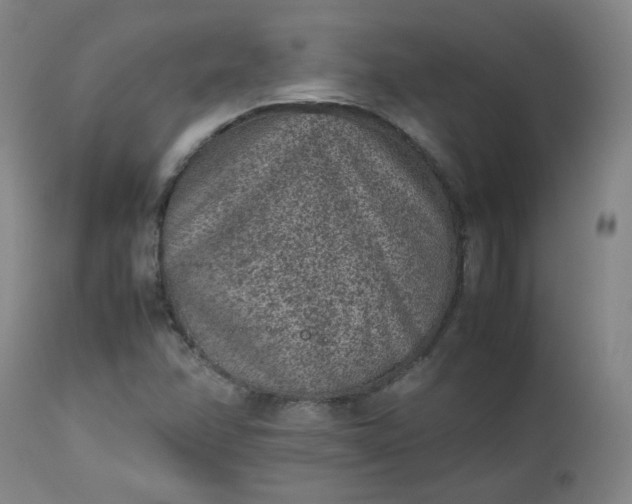 X0000112511358200908311322