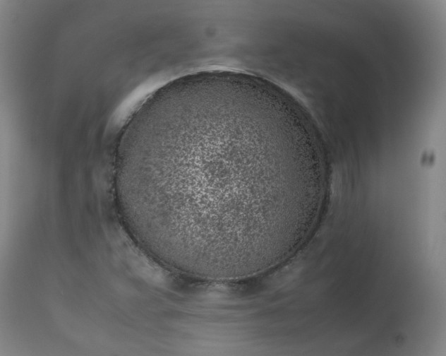 X0000112511359200908311322